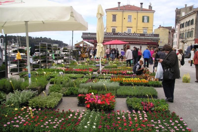 Rovinj u znaku cvijeća: Krajem ožujka stiže 8. Rovinjska rožica – proljetni sajam cvijeća i domaćih proizvoda