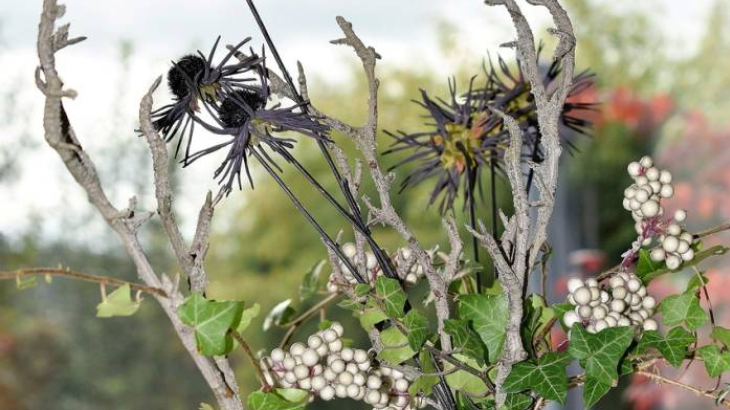Kako cvijećem promijeniti atmosferu doma? U Rovinju se održava radionica uređenja interijera