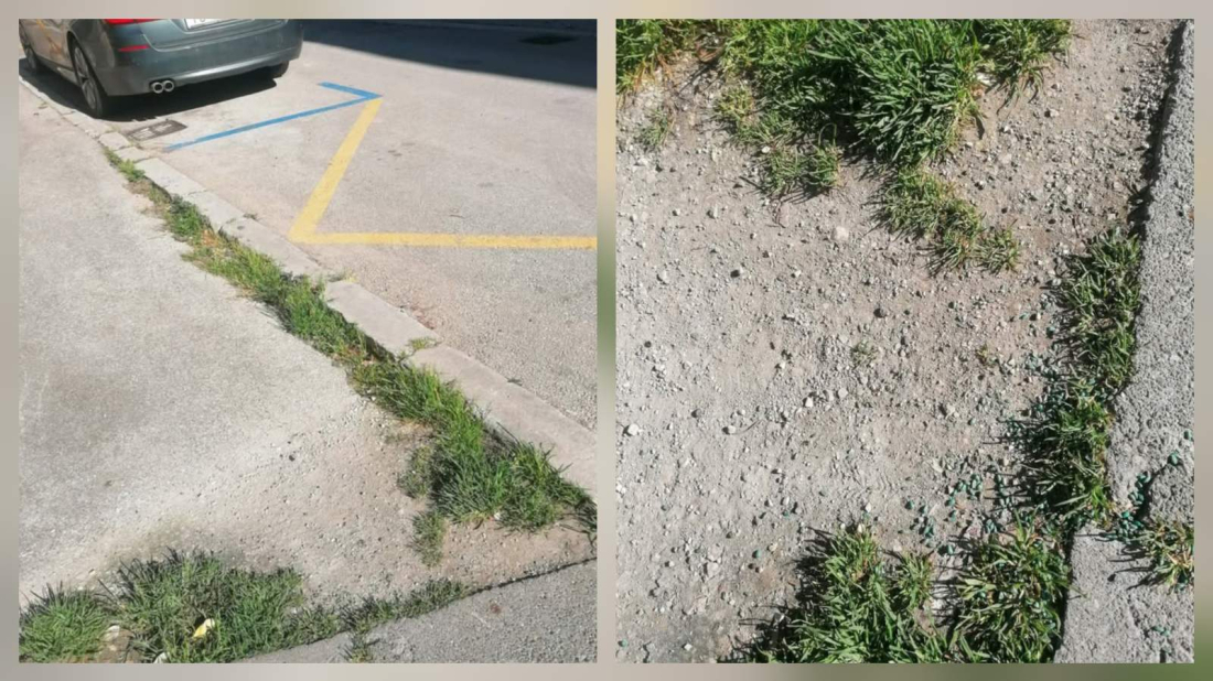 Upozorenje iz centra Pule: kod Kina Valli navodno postavljen otrov za miševe