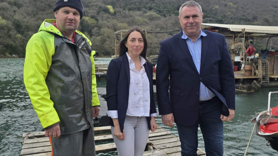 Dan limskih oštriga vraća se u velikom stilu: Limski zaljev ove nedjelje postaje gastro pozornica