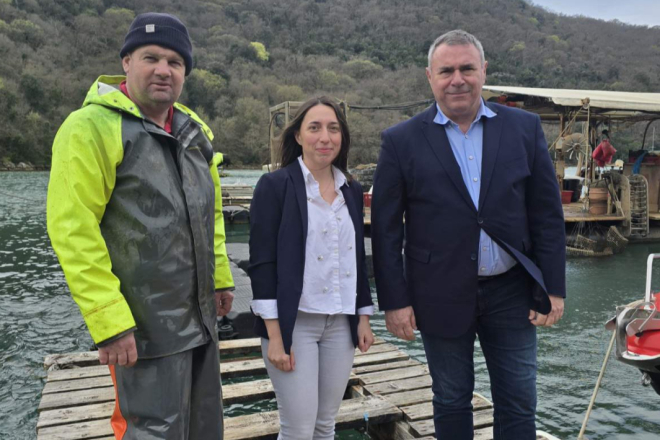 Dan limskih oštriga vraća se u velikom stilu: Limski zaljev ove nedjelje postaje gastro pozornica