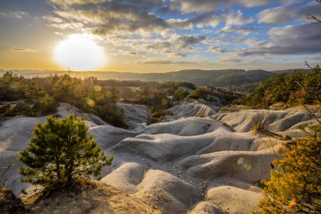 Istra krije svoju “pustinju”: Krajolik kod Grožnjana izgleda kao drugi planet