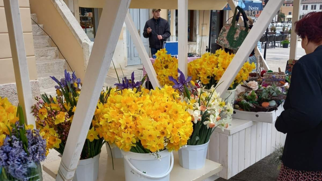 U Rovinju ove subote Dan narcisa: 30 godina zajedništva u borbi protiv raka dojke