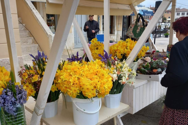 U Rovinju ove subote Dan narcisa: 30 godina zajedništva u borbi protiv raka dojke