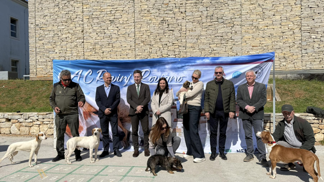 BALE DOG SHOW 2026. U Balama će ovog travnja prošetati 250 sportskih i lovnih pasmina te pasa za pratnju