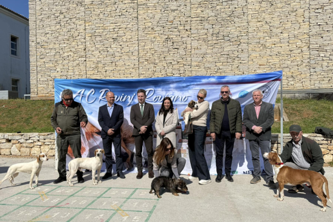 BALE DOG SHOW 2026. U Balama će ovog travnja prošetati 250 sportskih i lovnih pasmina te pasa za pratnju