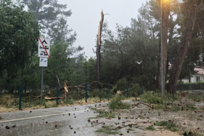 Nevrijeme poharalo Istru: Vatrogasci imali 23 intervencije, najviše posla u Umagu Buzetu, Poreču i Rovinju