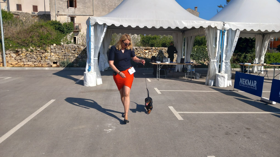 Još kratko traju prijave: Bale uskoro domaćin jedne od najvećih izložbi pasa u Hrvatskoj