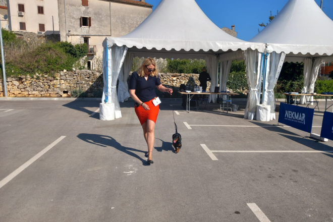 Još kratko traju prijave: Bale uskoro domaćin jedne od najvećih izložbi pasa u Hrvatskoj