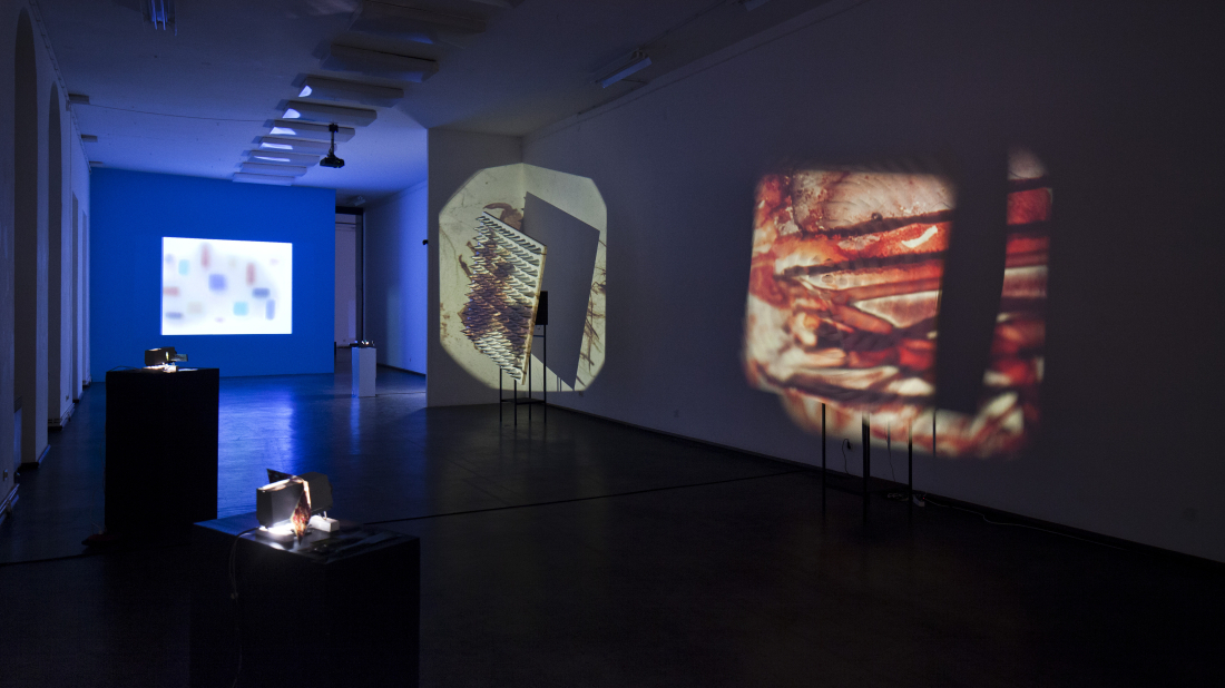 „Zbirka narodu!“ u Puli: Ovog četvrtka predavanje o Antunu Motiki i njegovim eksperimentima