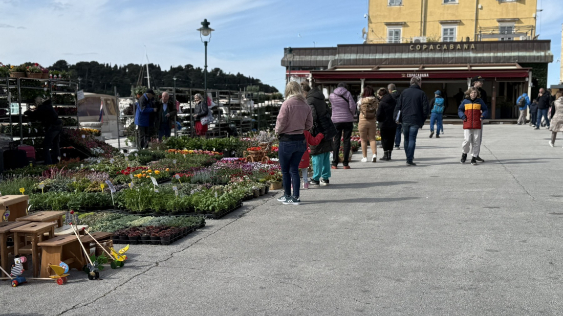 Cvijeće preplavilo Rovinj: do petka traje 8. Rovinjska rožica, sajam cvijeća i domaćih proizvoda