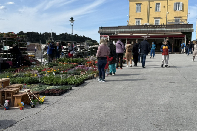 Cvijeće preplavilo Rovinj: do petka traje 8. Rovinjska rožica, sajam cvijeća i domaćih proizvoda