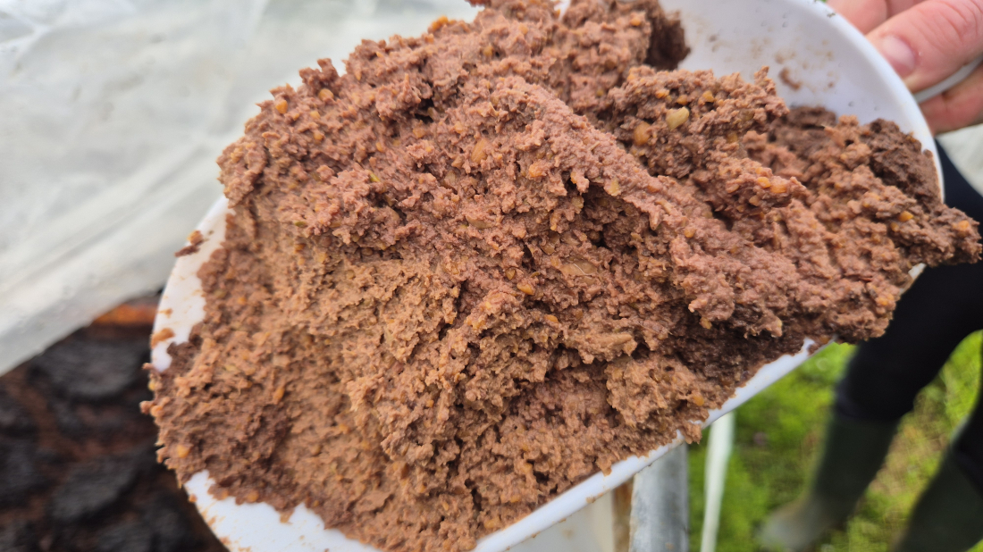 OD OTPADA DO GNOJIVA: Istarski znanstvenici traže rješenje za kominu maslina