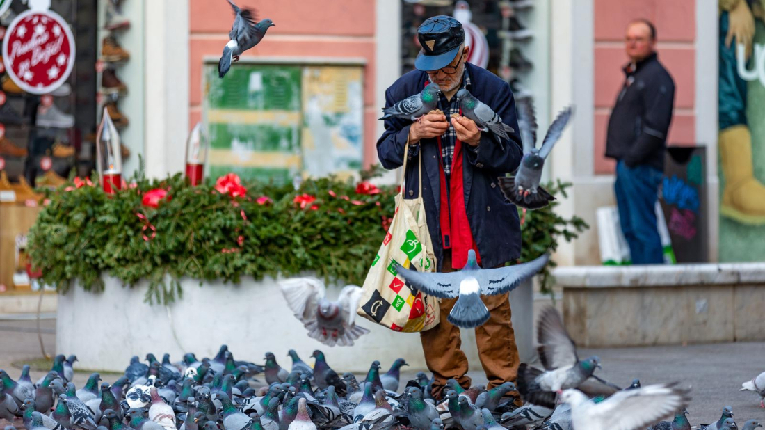 Pula se oprašta od Muje: Tihi čovjek koji je hranio golubove i postao simbol grada