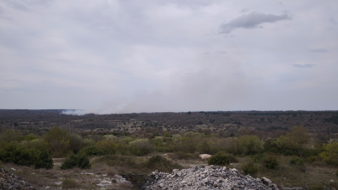 Veliki požar kod Barbana: Vatra zahvatila 10 hektara, vatrogascima probleme stvara jak vjetar