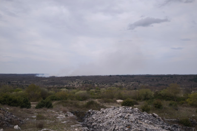 Veliki požar kod Barbana: Vatra zahvatila 10 hektara, vatrogascima probleme stvara jak vjetar