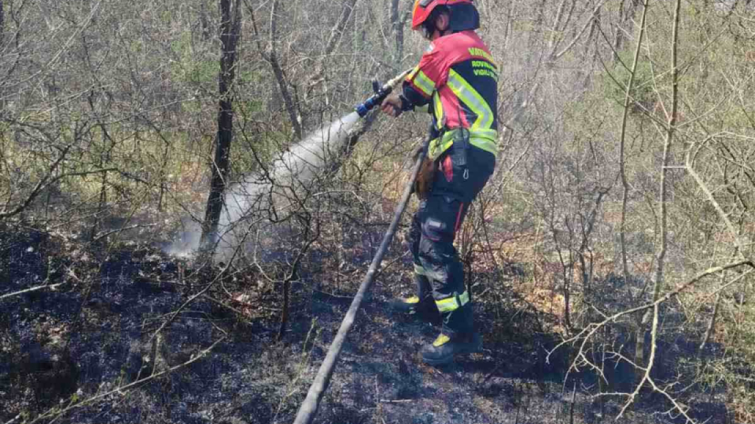 Rovinjski vatrogasci intervenirali zbog požara kod Krmeda, požar brzo stavljen pod nadzor!