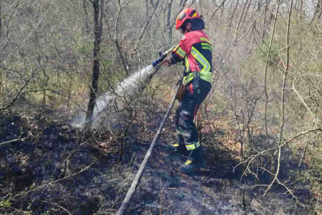 Rovinjski vatrogasci intervenirali zbog požara kod Krmeda, požar brzo stavljen pod nadzor!