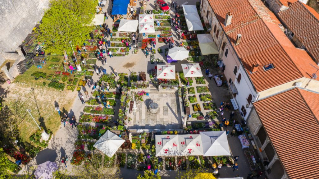 Svetvinčenat u znaku rožica: trodnevna fešta donosi radionice, glazbu i bogat program za sve generacije