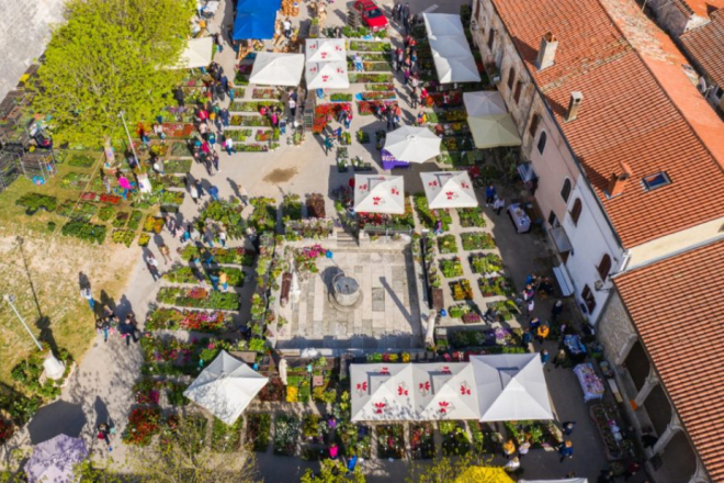 Svetvinčenat u znaku rožica: trodnevna fešta donosi radionice, glazbu i bogat program za sve generacije