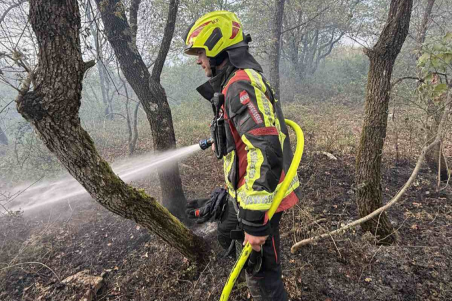 Trojica muškaraca palila ambalažu u Puli, izbio požar: Intervenirali vatrogasci!