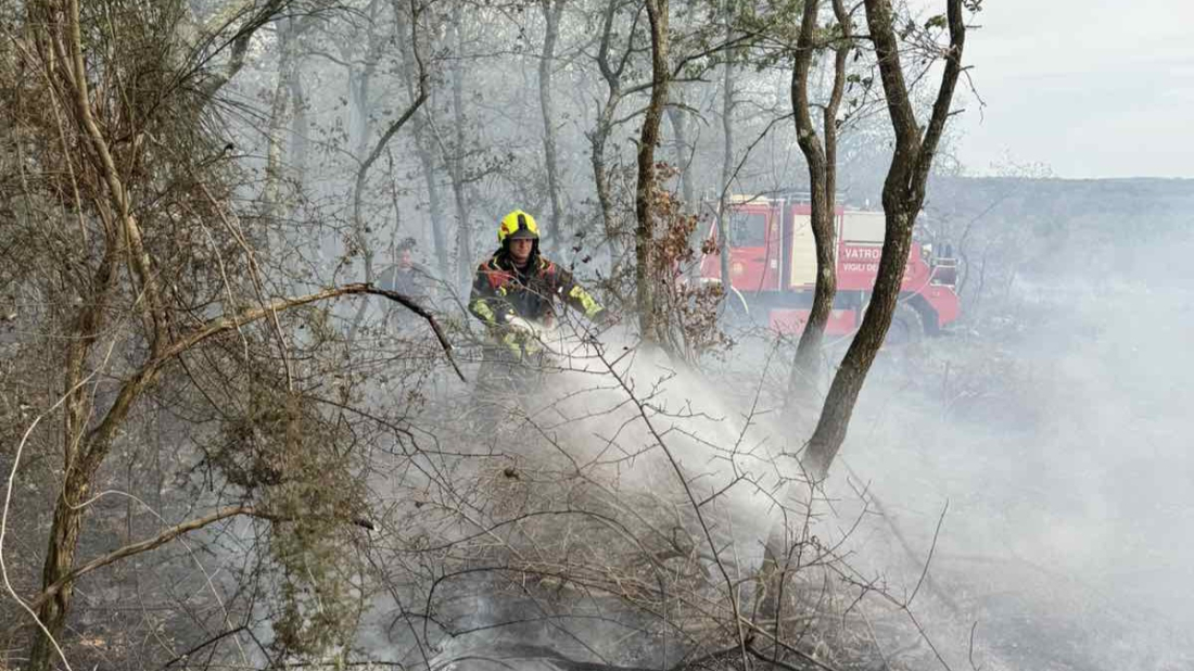 Požar kod Kanfanara brzo stavljen pod kontrolu: Izgorjelo oko 6000 kvadrata