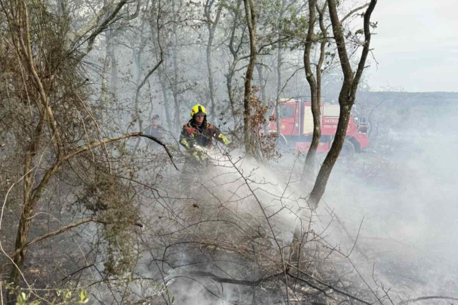 Požar kod Kanfanara brzo stavljen pod kontrolu: Izgorjelo oko 6000 kvadrata