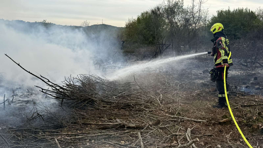 Požari ove godine gutaju Hrvatsku: Opožarena površina veća čak 75 posto