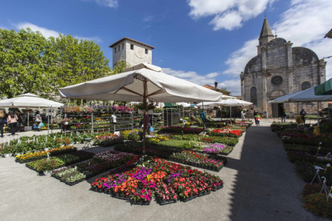 Svetvinčenat procvjetao: Od danas kreće Fešta od rožic i donosi pravi proljetni ugođaj