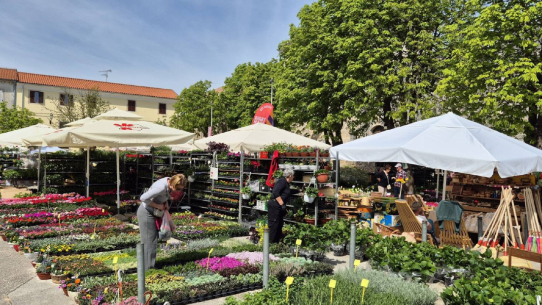 FOTO: Savičenta u cvijeću – Fešta od rožic donijela pravi proljetni ugođaj