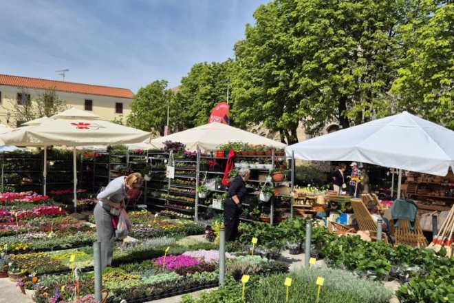 FOTO: Savičenta u cvijeću – Fešta od rožic donijela pravi proljetni ugođaj