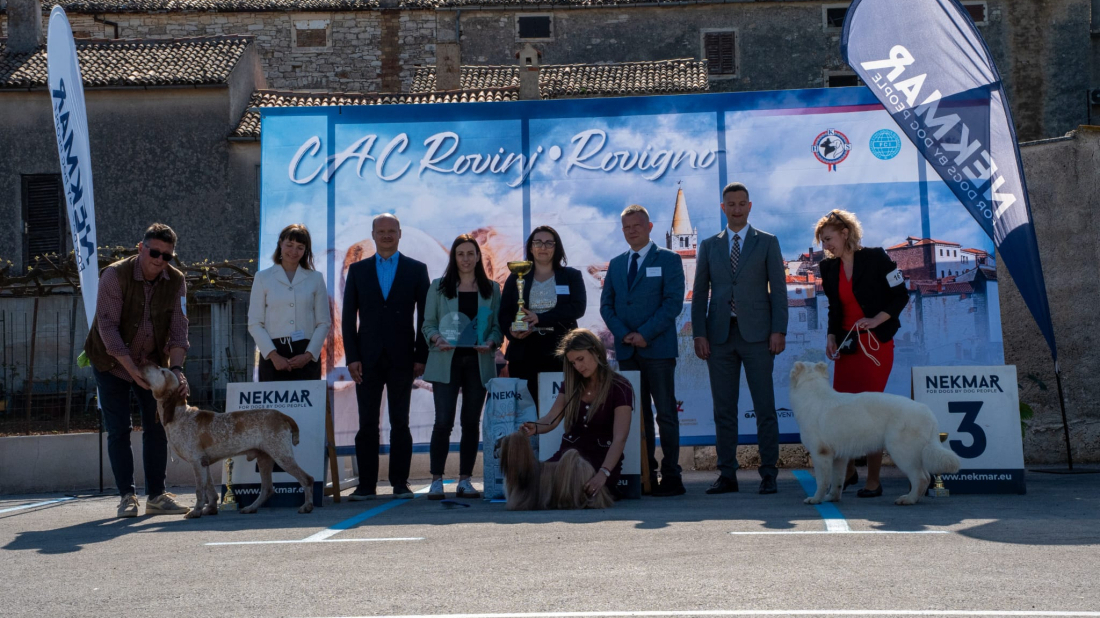 FOTO: Pogledajte pobjednike izložbe pasa u Balama – konkurencija iz 15 zemalja