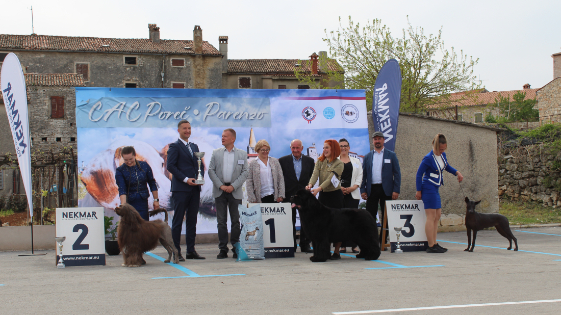 Bale u znaku pasa: Gotovo 250 četveronožnih ljepotana iz 15 zemalja oduševilo na CAC izložbi!