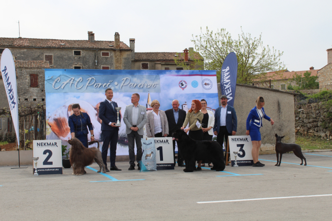 Bale u znaku pasa: Gotovo 250 četveronožnih ljepotana iz 15 zemalja oduševilo na CAC izložbi!