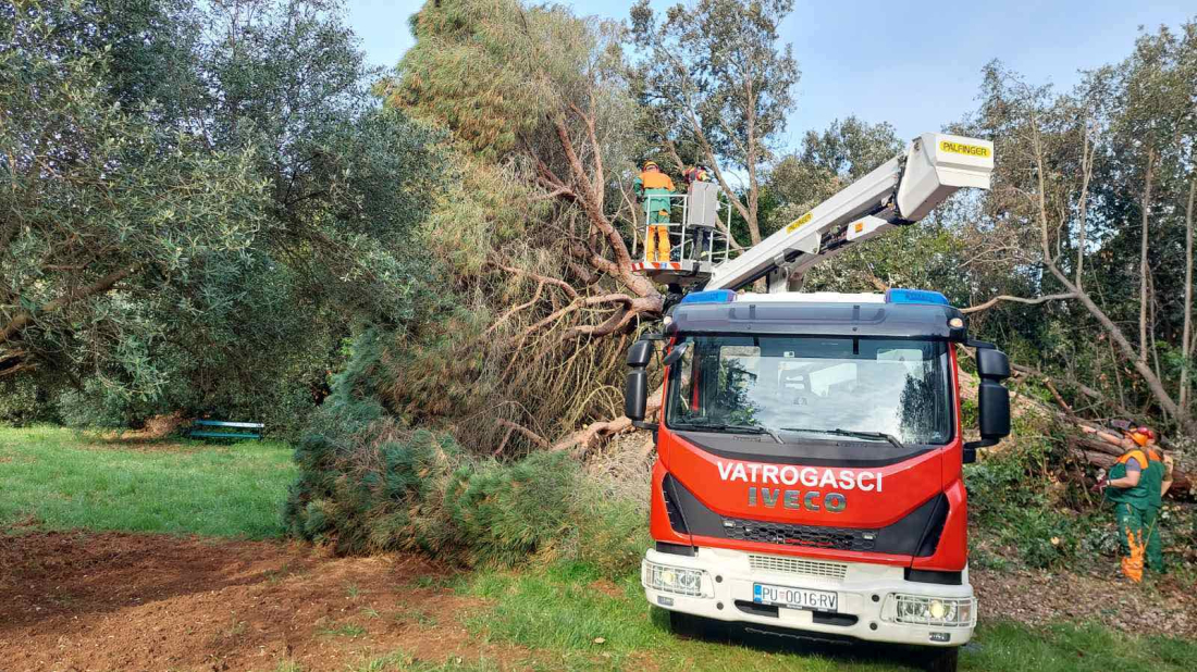 Nakon što je palo, uklonjeno veliko stablo sa Zlatnog rta