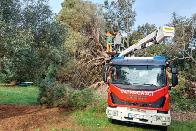 Nakon što je palo, uklonjeno veliko stablo sa Zlatnog rta