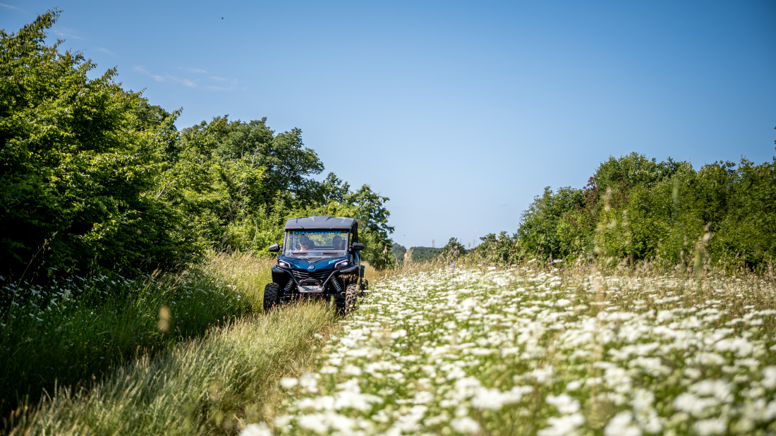 Dani avanture i adrenalina u Barban: proljetni poziv na doživljaj Istre svim osjetilima