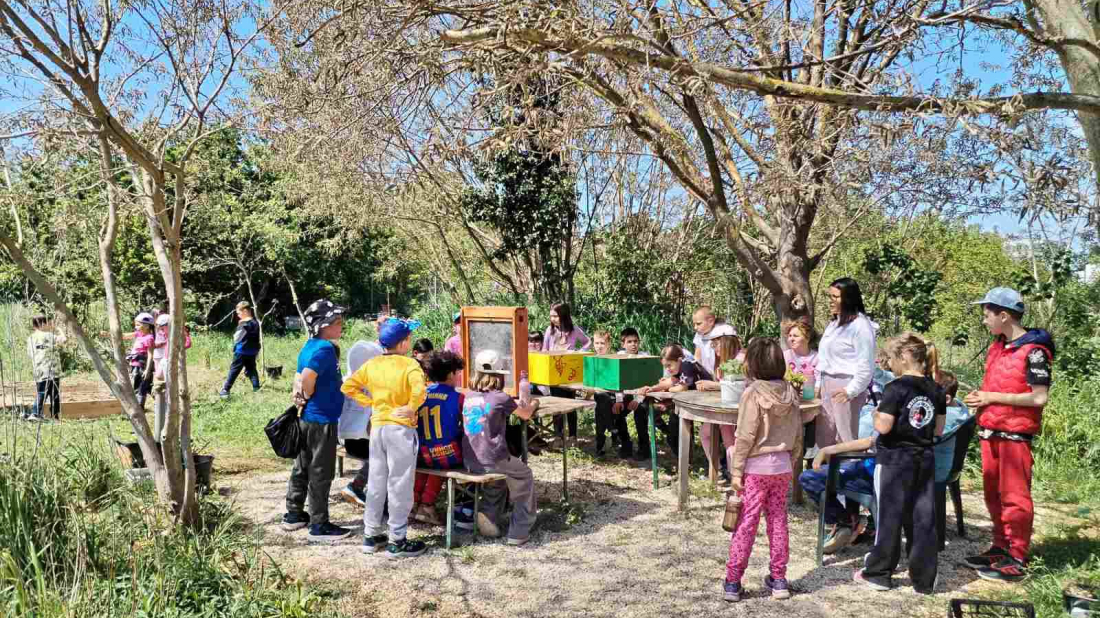 Ne kositi je ponekad najbolja odluka: Pulski učenici učili kako pomoći pčelama i prirodi