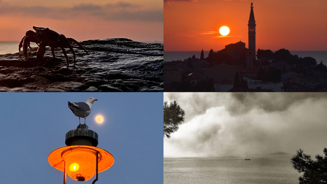 NAGRAĐENI NAJBOLJI RADOVI! Ove subote u Rovinju izložba u sklopu 15. Smotre rovinjske fotografije