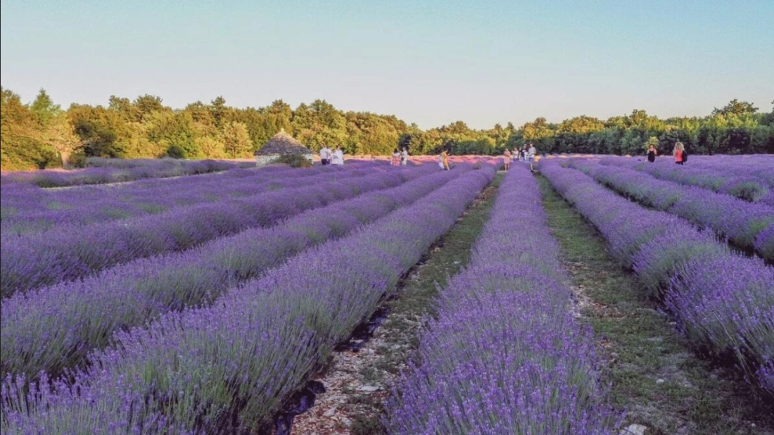 Izletište Pekici u svibnju postaje središte sporta i rekreacije - stiže Tovar trail