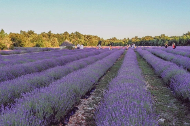 Izletište Pekici u svibnju postaje središte sporta i rekreacije - stiže Tovar trail