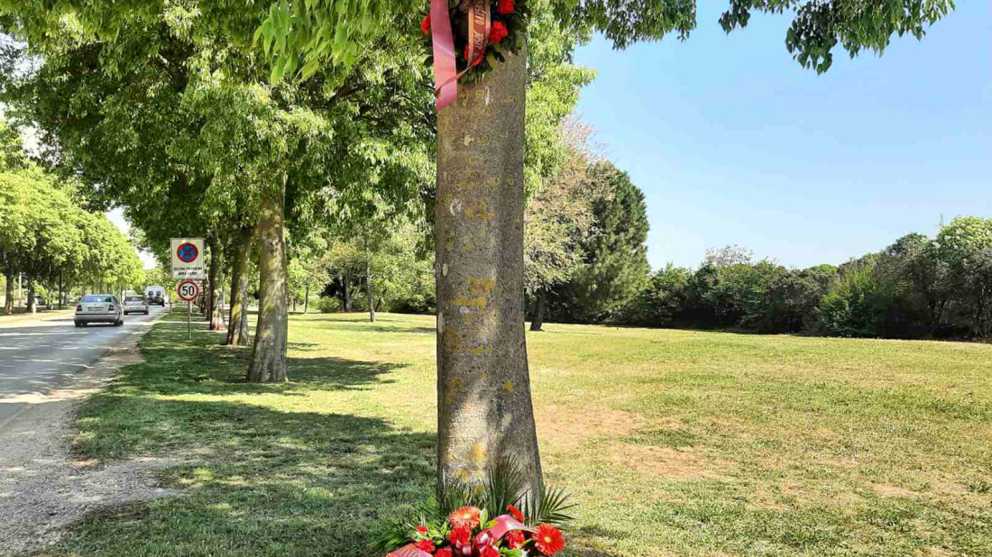Ovog ponedjeljka u Rovinju komemoracija povodom 46. godišnjice smrti Josipa Broza Tita