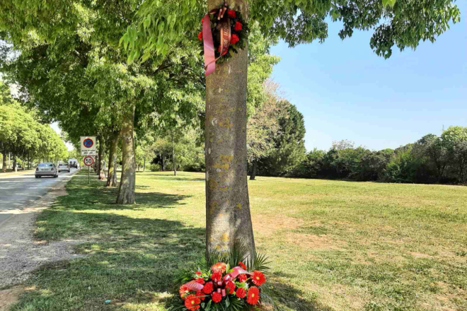 Ovog ponedjeljka u Rovinju komemoracija povodom 46. godišnjice smrti Josipa Broza Tita