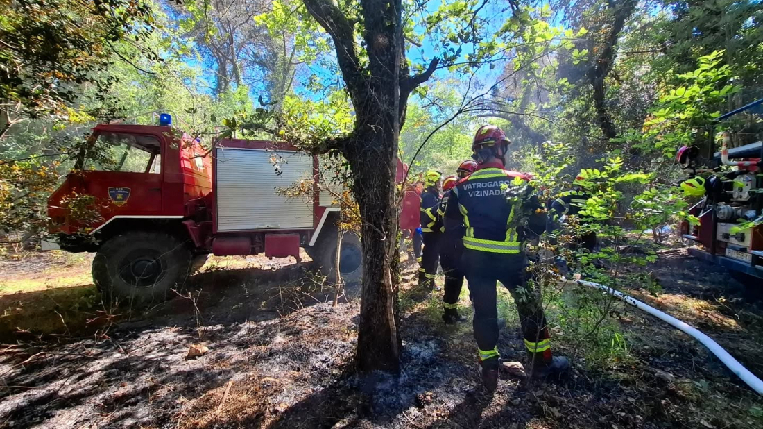 Požar u Kontiji kod Vrsara: brza intervencija vatrogasaca spriječila širenje vatre