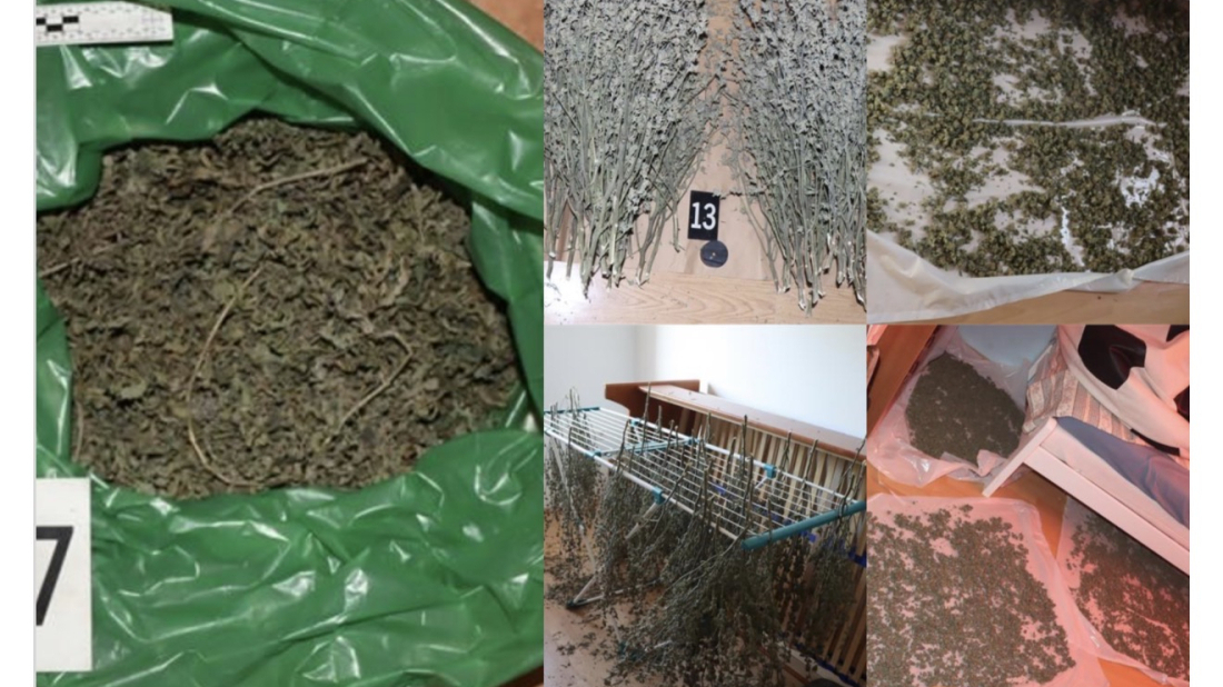U Kaštelu zaplijenjeno 4,1 kg marihuane i 58 stabljika, osumnjičeni završio u pritvoru