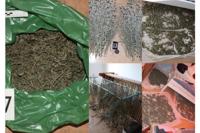 U Kaštelu zaplijenjeno 4,1 kg marihuane i 58 stabljika, osumnjičeni završio u pritvoru