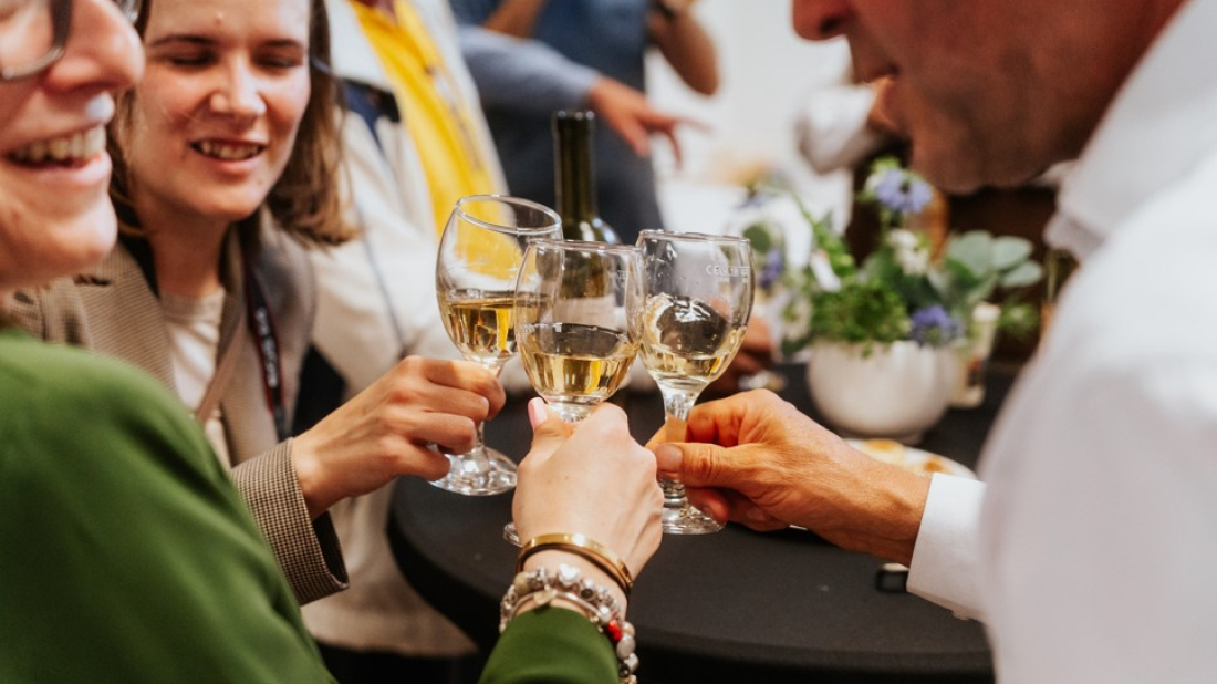 Barban poziva vinare: U tijeku prijave za 16. Smotru vina