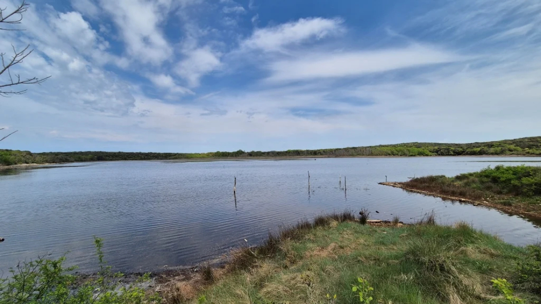 Cisterna, Palud i gradina Monbrodo – skriveni biseri Istre koje vrijedi otkriti