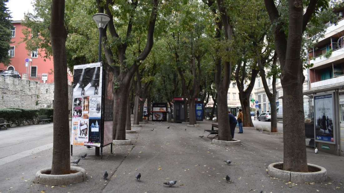 Na Giardinima kreće orezivanje ladonja: Radovi će trajati do kraja svibnja