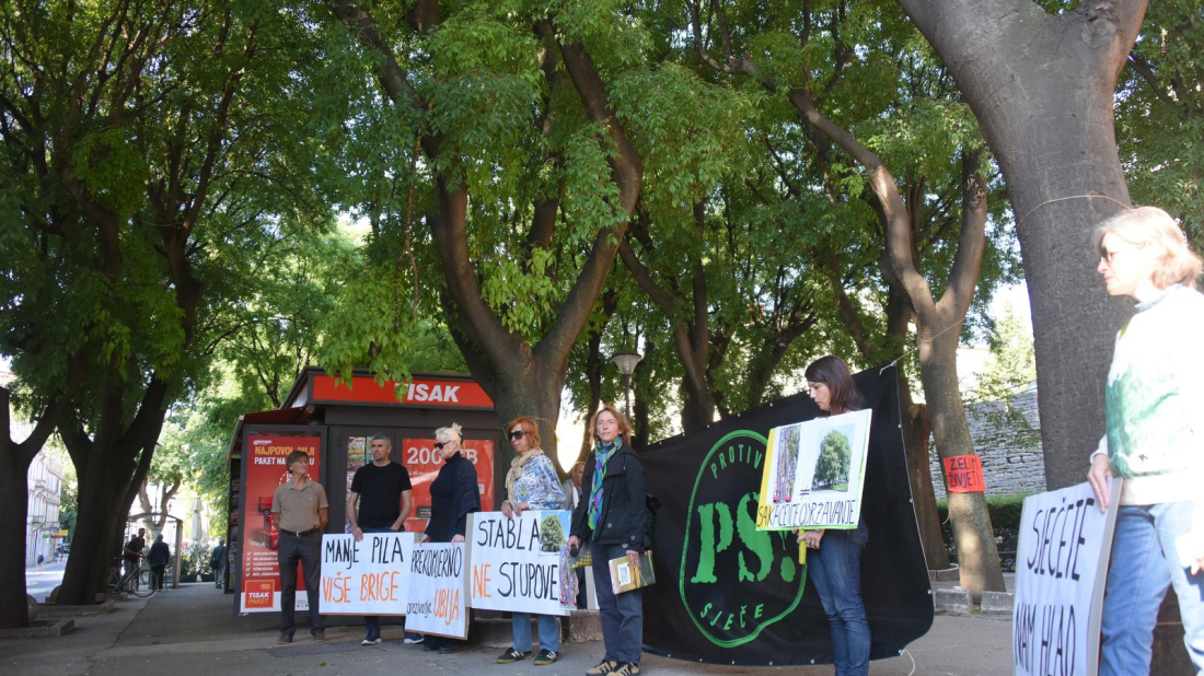 Aktivisti na Giardinima prosvjedovali protiv orezivanja stabala: „Sakaćenje nije održavanje“
